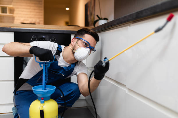 Best Termite Control Services  in Kings Park West, VA