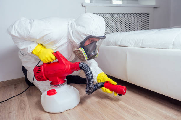 Best Local Pest Control Services  in Kings Park West, VA